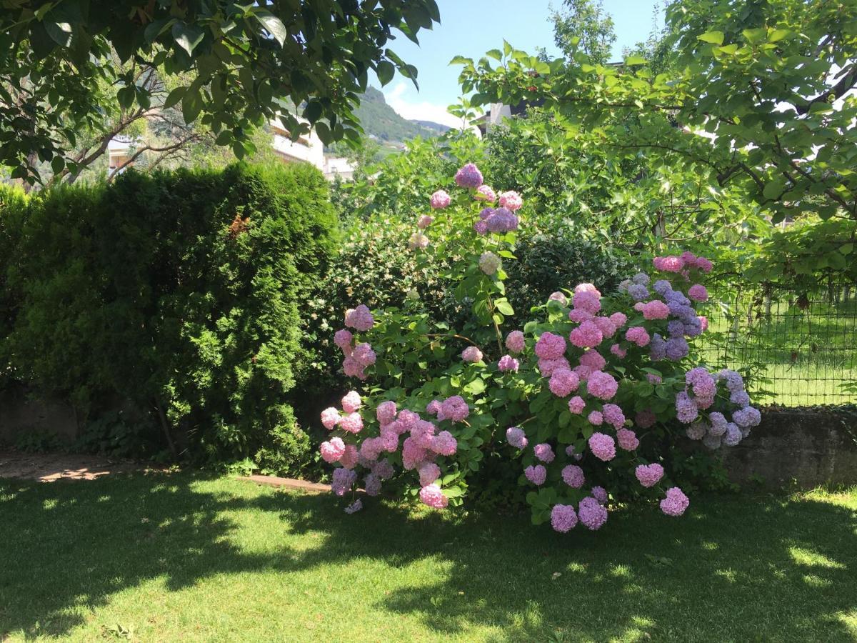 Apartment Villa Huber Bolzano Zewnętrze zdjęcie